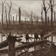 Australian soldiers passing through Chateau Wood, Belgium, in October 1917.